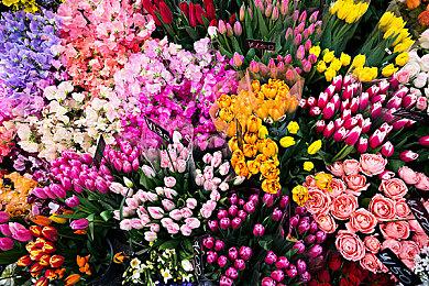 《烈火战车》服务型游戏被砍 但《地平线》网游还活着