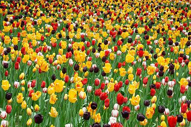 《如龙8》新细节 每次探索迷宫都会有所变化